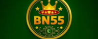 bn55 game